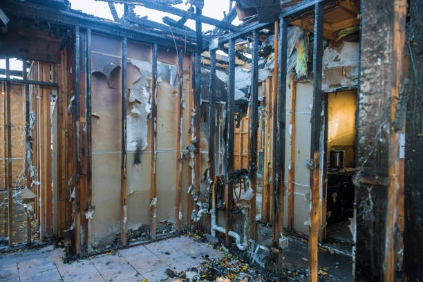 Professional Fire Damage Removal technician working in Maplewood, WA